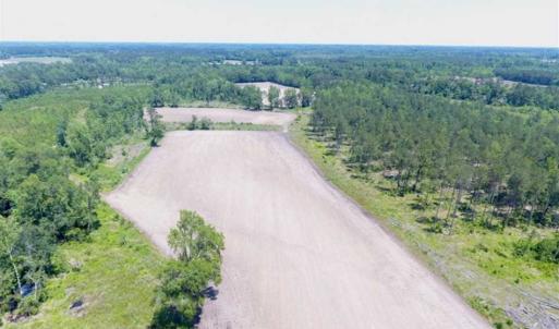 Photo of SOLD!!  197.24 Acres of Farm and Timber Land For Sale in Columbus County NC!