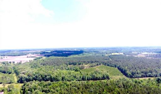 Photo of SOLD!!  197.24 Acres of Farm and Timber Land For Sale in Columbus County NC!