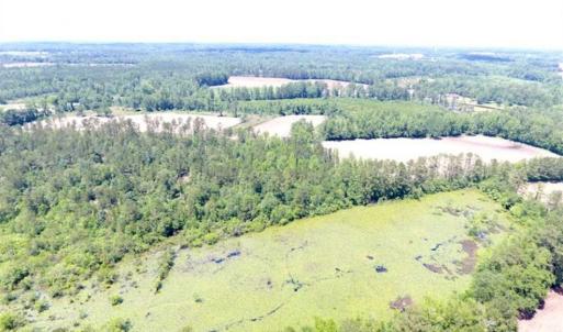 Photo of SOLD!!  197.24 Acres of Farm and Timber Land For Sale in Columbus County NC!