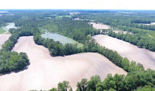 Photo of SOLD!!  197.24 Acres of Farm and Timber Land For Sale in Columbus County NC!