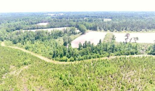 Photo of SOLD!!  197.24 Acres of Farm and Timber Land For Sale in Columbus County NC!