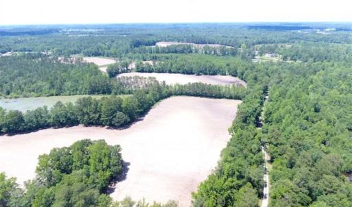 Photo of SOLD!!  197.24 Acres of Farm and Timber Land For Sale in Columbus County NC!