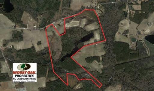 Photo of SOLD!!  197.24 Acres of Farm and Timber Land For Sale in Columbus County NC!