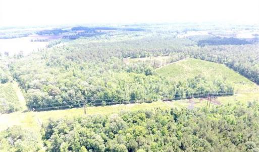 Photo of SOLD!!  197.24 Acres of Farm and Timber Land For Sale in Columbus County NC!