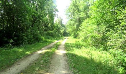 Photo of SOLD!!  197.24 Acres of Farm and Timber Land For Sale in Columbus County NC!