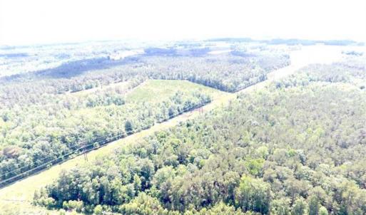 Photo of SOLD!!  197.24 Acres of Farm and Timber Land For Sale in Columbus County NC!