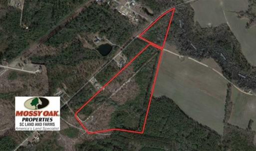 Photo of 48 Acres of Hunting and Timber Land for Sale in Dillon County SC!