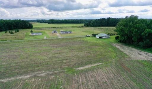 Photo of SOLD!!  40 Acres of Farm and Hunting Land for Sale in Robeson County NC!