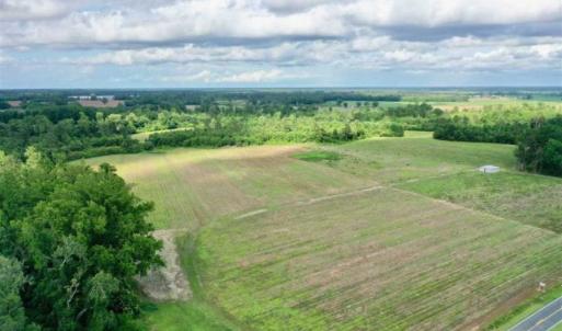 Photo of SOLD!!  40 Acres of Farm and Hunting Land for Sale in Robeson County NC!