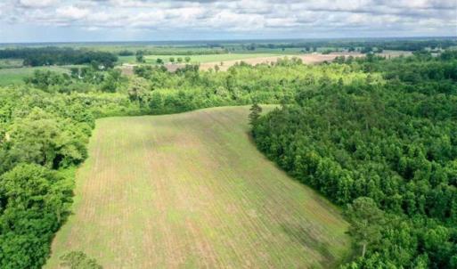 Photo of SOLD!!  40 Acres of Farm and Hunting Land for Sale in Robeson County NC!