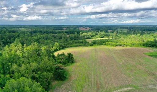 Photo of SOLD!!  40 Acres of Farm and Hunting Land for Sale in Robeson County NC!