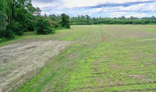 Photo of SOLD!!  40 Acres of Farm and Hunting Land for Sale in Robeson County NC!