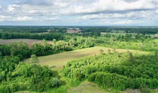 Photo of SOLD!!  40 Acres of Farm and Hunting Land for Sale in Robeson County NC!