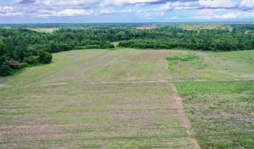 Photo of SOLD!!  40 Acres of Farm and Hunting Land for Sale in Robeson County NC!