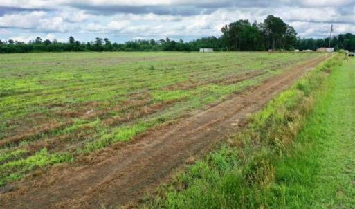 Photo of SOLD!!  40 Acres of Farm and Hunting Land for Sale in Robeson County NC!