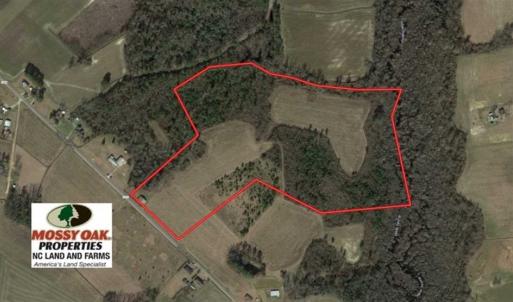 Photo of SOLD!!  40 Acres of Farm and Hunting Land for Sale in Robeson County NC!