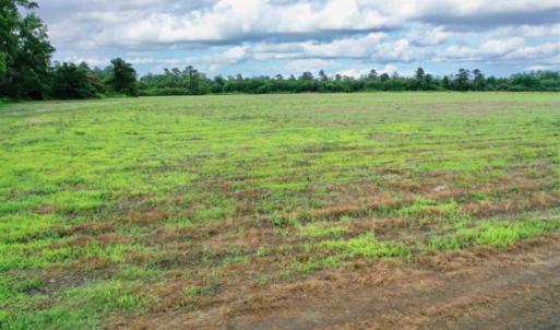 Photo of SOLD!!  40 Acres of Farm and Hunting Land for Sale in Robeson County NC!