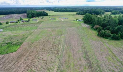 Photo of SOLD!!  40 Acres of Farm and Hunting Land for Sale in Robeson County NC!