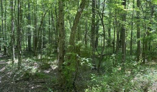 Photo of SOLD!!  10 Acres of Residential Land For Sale in Orange County NC!