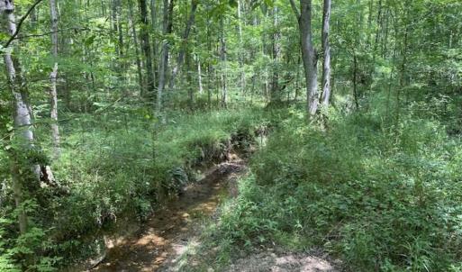 Photo of SOLD!!  10 Acres of Residential Land For Sale in Orange County NC!