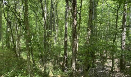 Photo of SOLD!!  10 Acres of Residential Land For Sale in Orange County NC!