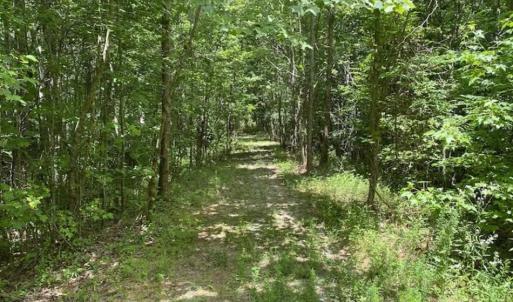 Photo of SOLD!!  10 Acres of Residential Land For Sale in Orange County NC!