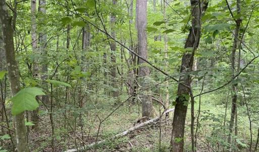 Photo of SOLD!!  10 Acres of Residential Land For Sale in Orange County NC!