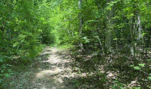 Photo of SOLD!!  10 Acres of Residential Land For Sale in Orange County NC!