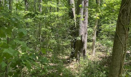 Photo of SOLD!!  10 Acres of Residential Land For Sale in Orange County NC!
