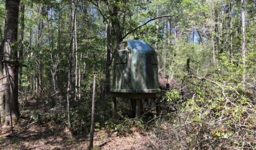 Photo of UNDER CONTRACT!!  257.92 Acres of Hunting and Timber Land For Sale in Brunswick County NC!