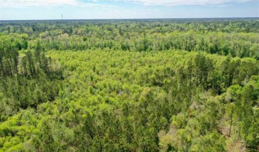 Photo of UNDER CONTRACT!!  257.92 Acres of Hunting and Timber Land For Sale in Brunswick County NC!