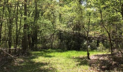 Photo of UNDER CONTRACT!!  257.92 Acres of Hunting and Timber Land For Sale in Brunswick County NC!
