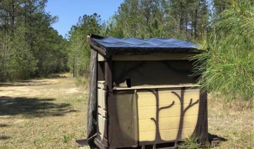 Photo of UNDER CONTRACT!!  257.92 Acres of Hunting and Timber Land For Sale in Brunswick County NC!