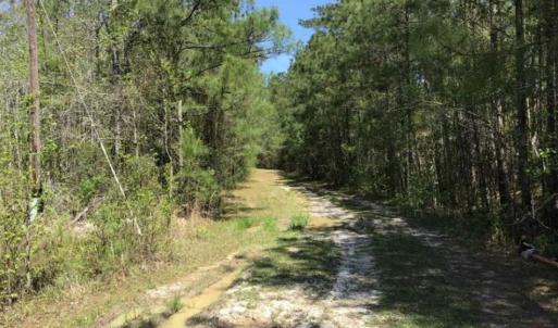 Photo of UNDER CONTRACT!!  257.92 Acres of Hunting and Timber Land For Sale in Brunswick County NC!