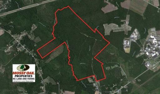 Photo of UNDER CONTRACT!!  257.92 Acres of Hunting and Timber Land For Sale in Brunswick County NC!