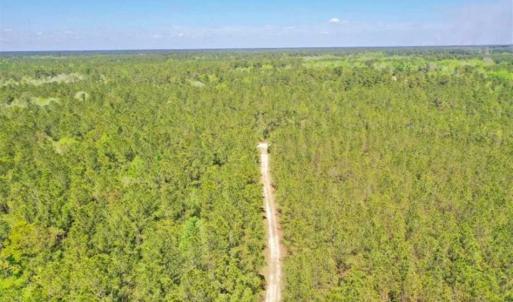 Photo of UNDER CONTRACT!!  257.92 Acres of Hunting and Timber Land For Sale in Brunswick County NC!