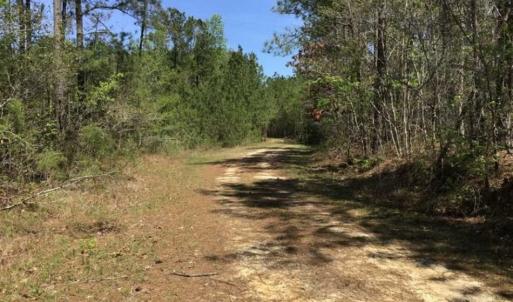 Photo of UNDER CONTRACT!!  257.92 Acres of Hunting and Timber Land For Sale in Brunswick County NC!