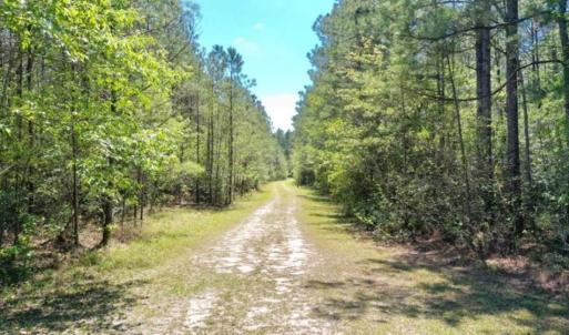 Photo of UNDER CONTRACT!!  257.92 Acres of Hunting and Timber Land For Sale in Brunswick County NC!