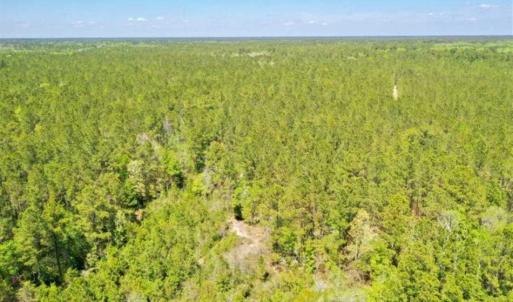 Photo of UNDER CONTRACT!!  257.92 Acres of Hunting and Timber Land For Sale in Brunswick County NC!