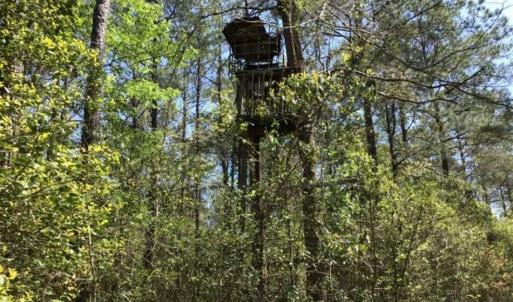 Photo of UNDER CONTRACT!!  257.92 Acres of Hunting and Timber Land For Sale in Brunswick County NC!