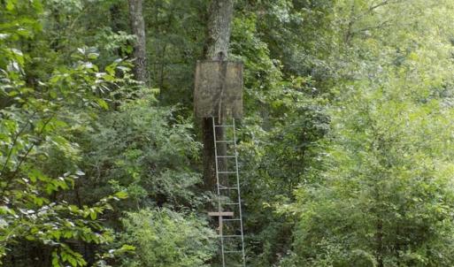 Photo of SOLD!!  445 Acres of Hunting Land with Home For Sale in Bamberg County SC!