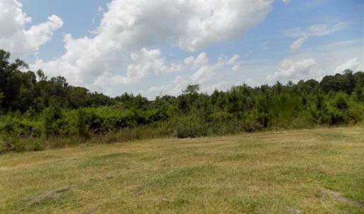 Photo of SOLD!!  445 Acres of Hunting Land with Home For Sale in Bamberg County SC!