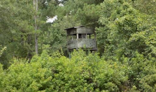 Photo of SOLD!!  445 Acres of Hunting Land with Home For Sale in Bamberg County SC!