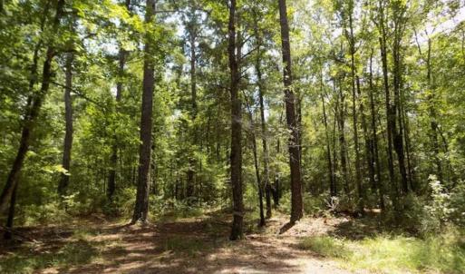 Photo of SOLD!!  445 Acres of Hunting Land with Home For Sale in Bamberg County SC!