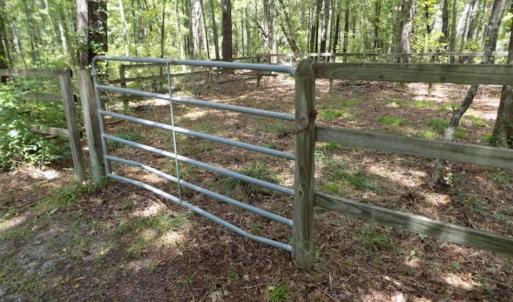 Photo of SOLD!!  445 Acres of Hunting Land with Home For Sale in Bamberg County SC!