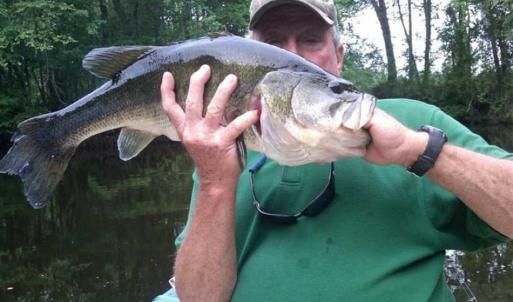 Photo of SOLD!!  445 Acres of Hunting Land with Home For Sale in Bamberg County SC!