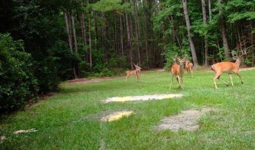 Photo of SOLD!!  445 Acres of Hunting Land with Home For Sale in Bamberg County SC!