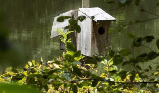 Photo of SOLD!!  445 Acres of Hunting Land with Home For Sale in Bamberg County SC!