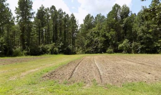 Photo of SOLD!!  445 Acres of Hunting Land with Home For Sale in Bamberg County SC!