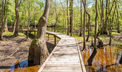 Photo of SOLD!!  445 Acres of Hunting Land with Home For Sale in Bamberg County SC!